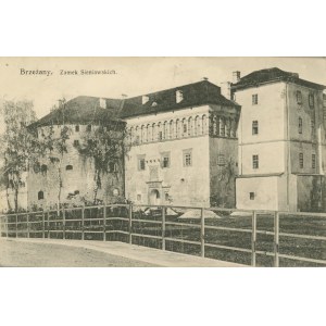 Brzeżany - Zamek Sieniawskich, 1915