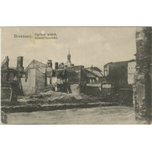 Brzeżany - Ogólny widok, ok. 1915