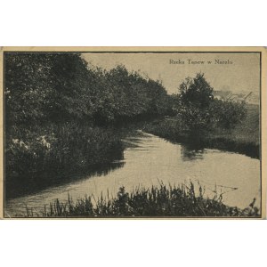 Narol - Rzeka Tanew, ok. 1910