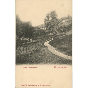 Krzeszowice - Źródła Czatkowskie, ok. 1900