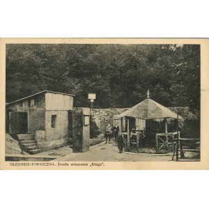 Piwniczna - Głębokie - Kinga mineral springs, ca. 1920.