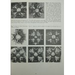 Wesołowski Zdzisław P. - Polish Orders, Medals, Badges and Insignia Military and Civilian Decorations 1705 - 1985. Miami, Florida U. S. A. 1986 Printing Services Inc..