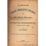 Biegeleisen Henryk- Illustrierte Geschichte der polnischen Literatur. [Bände I-V, vollständig]