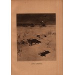 Niedbał Ludwik- Z łowisk wielkopolskich. Bilder und Skizzen aus Natur und Jagd [1921].