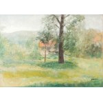 Irena WEISS - ANERI (1888-1981), Pejzaż wiosenny