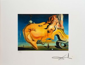 Salvador Dalí (1904-1989), Erotyk, 1985/86