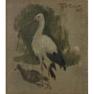 Felix Cichocki, Stork