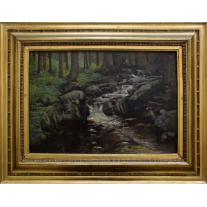 A.N., Forest landscape with a stream
