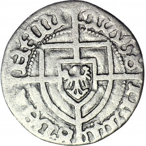 R-, Teutonic Order, Jan von Tiefen 1489-1497, Penny, R3