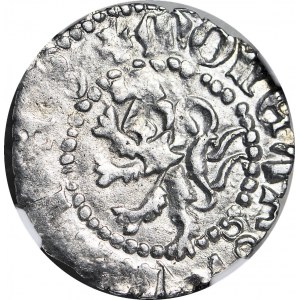 R-, Louis of Hungary, Quartier of Ruthenian, minted