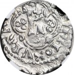 R-, Louis of Hungary, Quartier of Ruthenian, minted