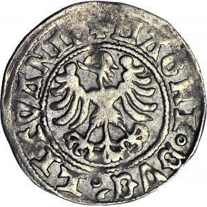 RR-, Alexander Jagiellonian, Half-penny with Gothic-Renaissance inscription