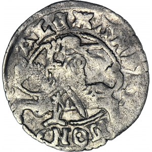 Alexander Jagiellon, Lithuanian half-penny, Vilnius, Renaissance