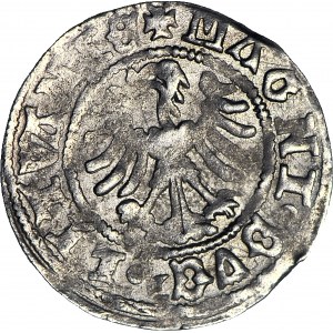 Alexander Jagiellon, Lithuanian half-penny, Vilnius, Renaissance