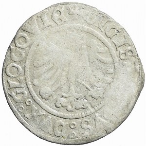 R-, Sigismund I the Old, 1506 penny, Glogow