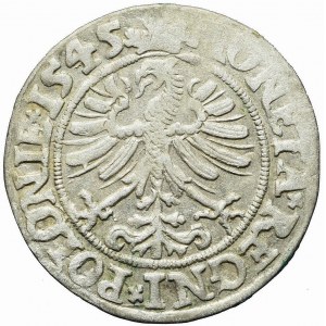 Sigismund I. der Alte, Pfennig 1545, Krakau, gekrönte Kreuze