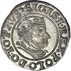 Sigismund I. der Alte, Grosz 1539 Danzig, PRVS, schön