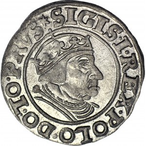 Zygmunt I Stary, Grosz 1539 Gdańsk, PRVS, piękny