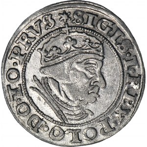 Zygmunt I Stary, Grosz 1540, Gdańsk, piękny