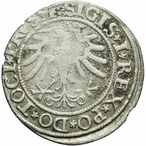 Sigismund I the Old, 1533 penny, Elblag, ELBINGK/PRVSSI