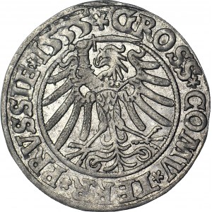 Sigismund I the Old, 1535 penny, Torun, PRVSSIE/PRVSSIE