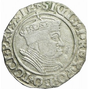 Sigismund I the Old, Penny 1535, Toruń