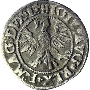 R-, Sigismund II. Augustus, Halbpfennig 1546, Vilnius, älterer Adlertyp, LITVA/L+