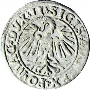 Sigismund II Augustus, Half-penny 1547, Vilnius