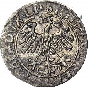 Sigismund II Augustus, Half-penny 1559, Vilnius, LITV/LI