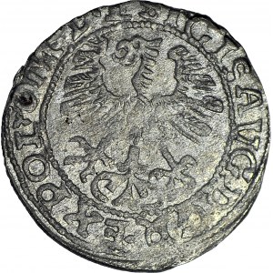 RR-, Sigismund II Augustus, Half-penny 1563, Vilnius, FANTAZY eagle, period forgery