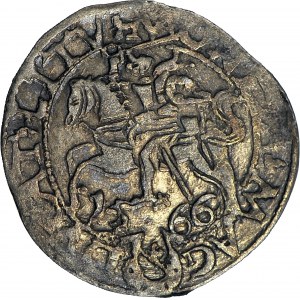 RRR-, Sigismund II Augustus, Half-penny 1566, Tykocin, Jastrzębiec coat of arms, MAG (known from Czapski collection)