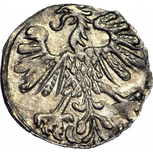R-, Sigismund II Augustus, Denarius 1559 Vilnius, rare, T.8mk