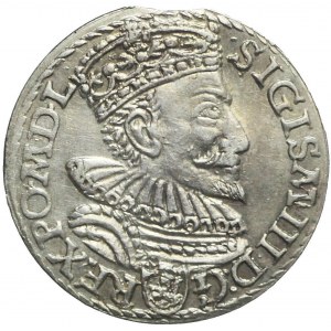 Sigismund III Vasa, Troika 1594, Malbork