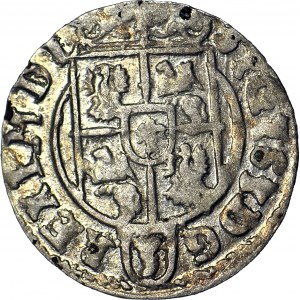 Sigismund III Vasa, Half-track 1624, Bydgoszcz, no asterisk in Sas