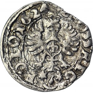 Sigismund III Vasa, 1624 Bydgoszcz penny