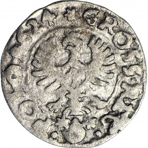 Sigismund III Vasa, 1624 Bydgoszcz penny