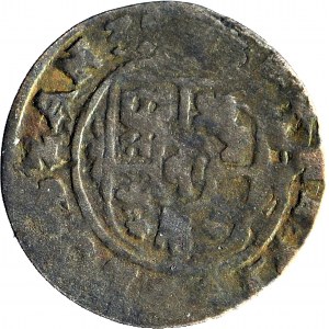 Zygmunt III Waza, Ternar 1630, Łobżenica, R2