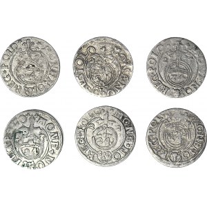 6-teiliger Satz, Sigismund III Vasa, Halbspuren 1622-1627, schön