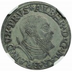 Lenne Prusy Książęce, Albrecht Hohenzollern, Trojak 1537, Królewiec