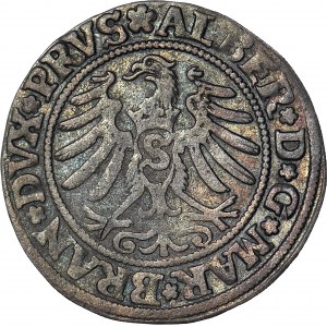 Lenne Prusy Książęce, Albrecht Hohenzollern, Grosz 1531, Królewiec