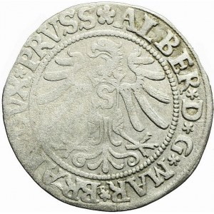 Lenne Prusy Książęce, Albrecht Hohenzollern, Grosz 1532, Królewiec