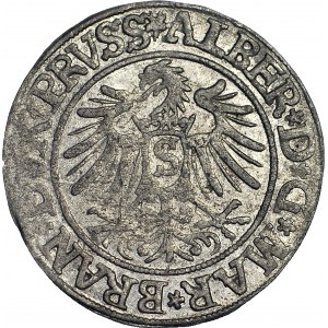 Lenne Prusy Książęce, Albrecht Hohenzollern, Grosz 1535, Królewiec