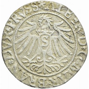 Duchy of Prussia, Albrecht Hohenzollern, Grosz 1537, Königsberg