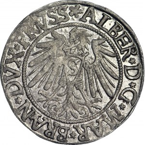 Lenne Prusy Książęce, Albrecht Hohenzollern, Grosz 1539, Królewiec