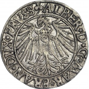 Lenne Prusy Książęce, Albrecht Hohenzollern, Grosz 1541, Królewiec