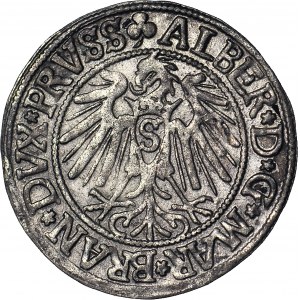 Lenne Prusy Książęce, Albrecht Hohenzollern, Grosz 1542, Królewiec, piękny