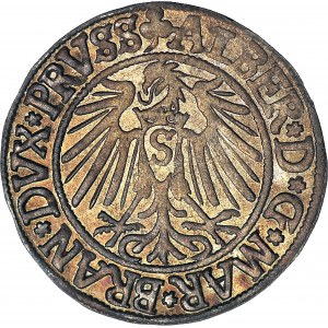 Duchy of Prussia, Albrecht Hohenzollern, Grosz 1542, Königsberg