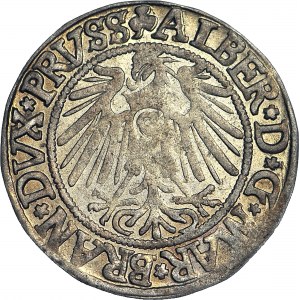 Duchy of Prussia, Albrecht Hohenzollern, Grosz 1542, Königsberg