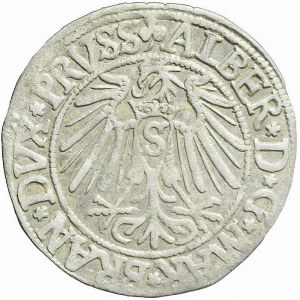 Lenne Prusy Książęce, Albrecht Hohenzollern, Grosz 1542, Królewiec