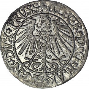 Duchy of Prussia, Albrecht Hohenzollern, Grosz 1544, Königsberg